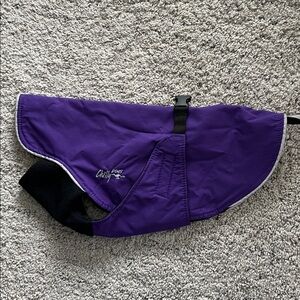 Chilly Dogs Winter Coat